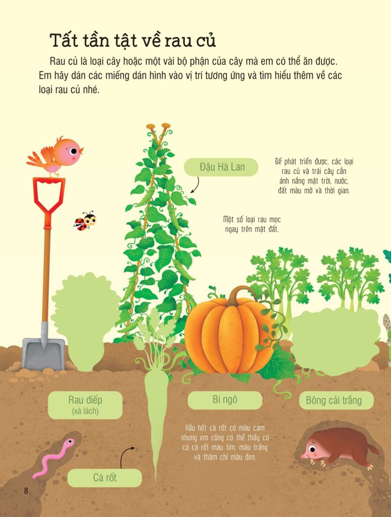 SÁCH DÁN HÌNH ĐẦU ĐỜI CHO BÉ-TRÁI CÂY VÀ RAU CỦ
