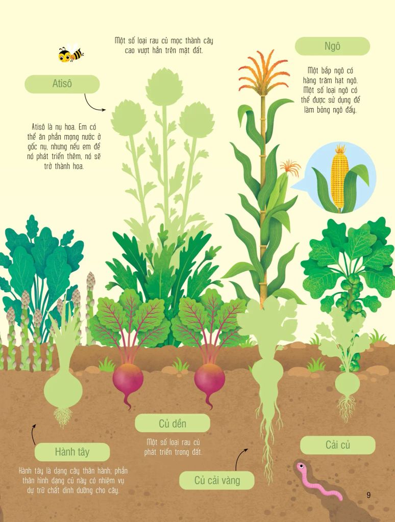 SÁCH DÁN HÌNH ĐẦU ĐỜI CHO BÉ-TRÁI CÂY VÀ RAU CỦ