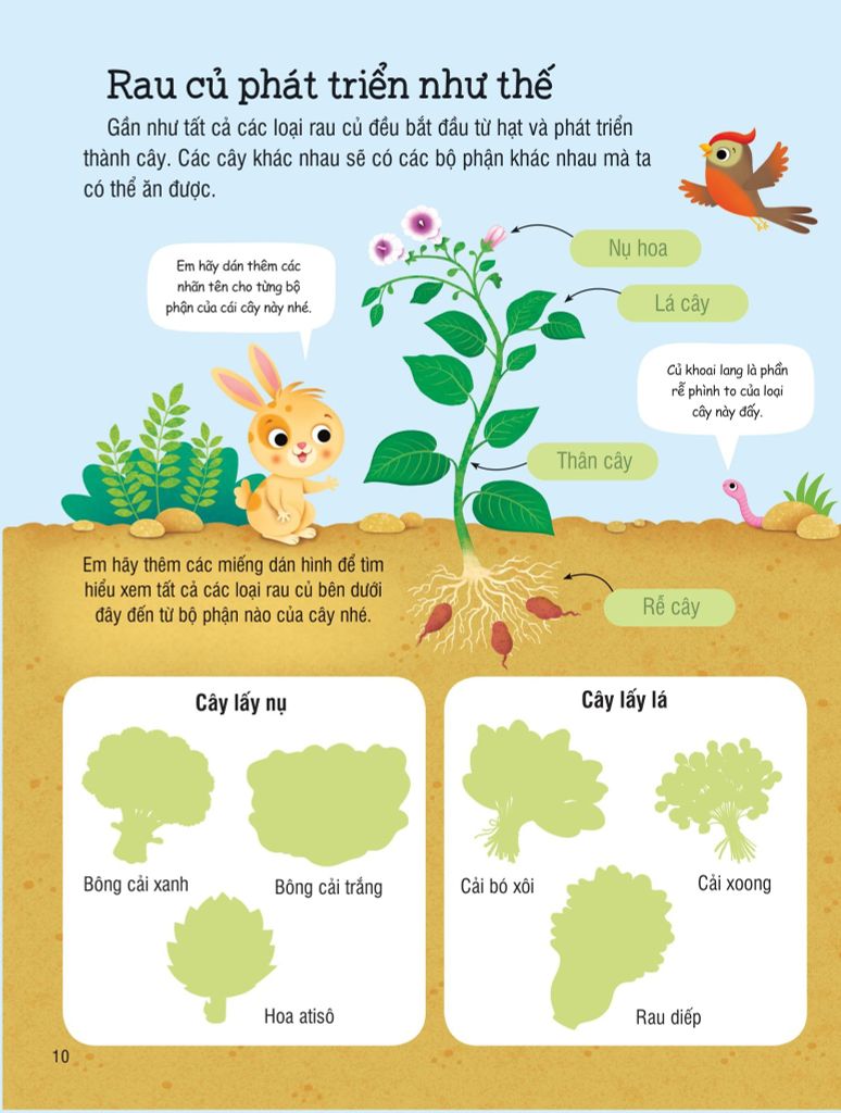 SÁCH DÁN HÌNH ĐẦU ĐỜI CHO BÉ-TRÁI CÂY VÀ RAU CỦ