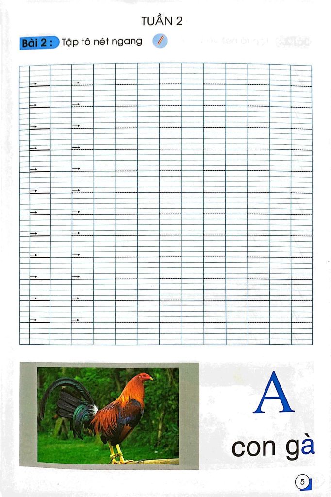 CHUẨN BỊ CHO BÉ VÀO LỚP 1 - TẬP TÔ NÉT CƠ BẢN