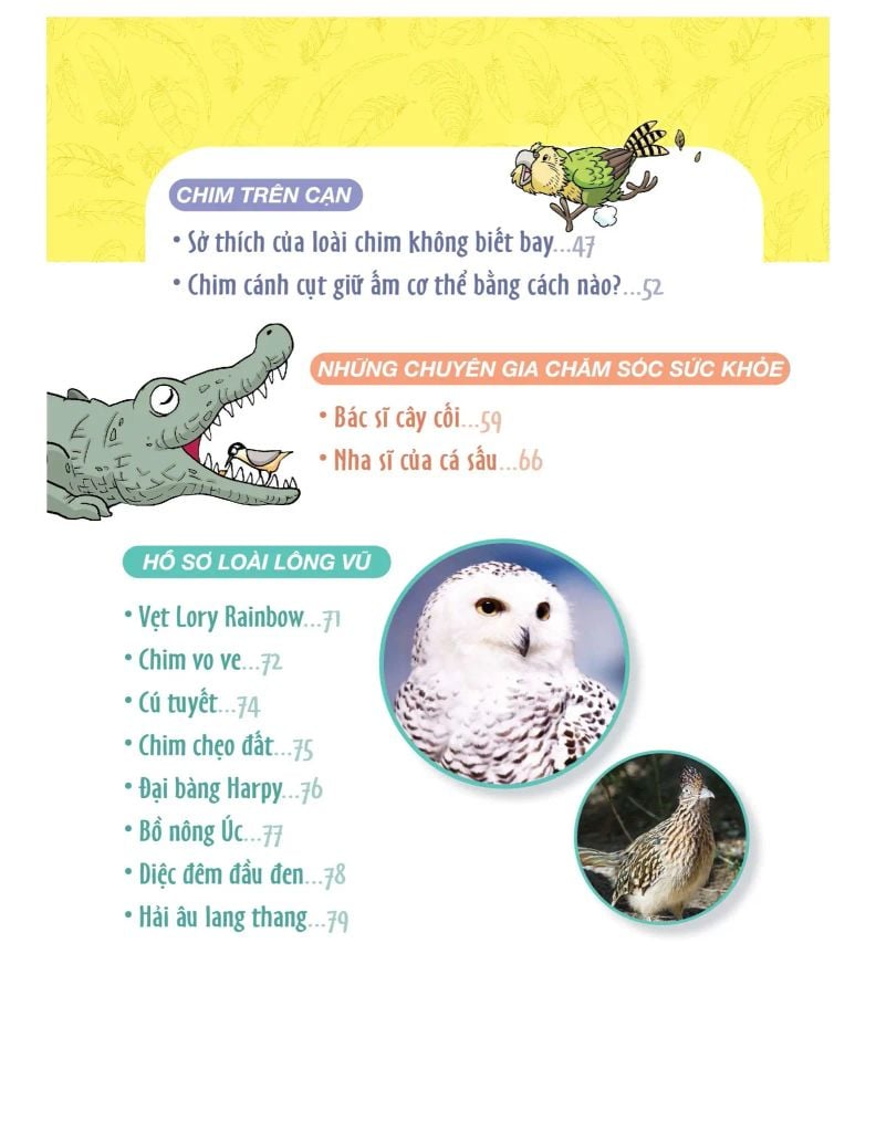 World Of Science - Làm Bạn Với Khoa Học - Những Bí Ẩn Về Loài Chim