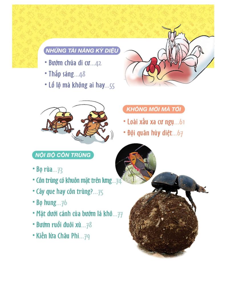 World Of Science - Làm Bạn Với Khoa Học - Những Bí Ẩn Về Côn Trùng