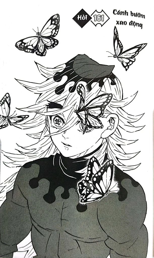 THANH GƯƠM DIỆT QUỶ T19