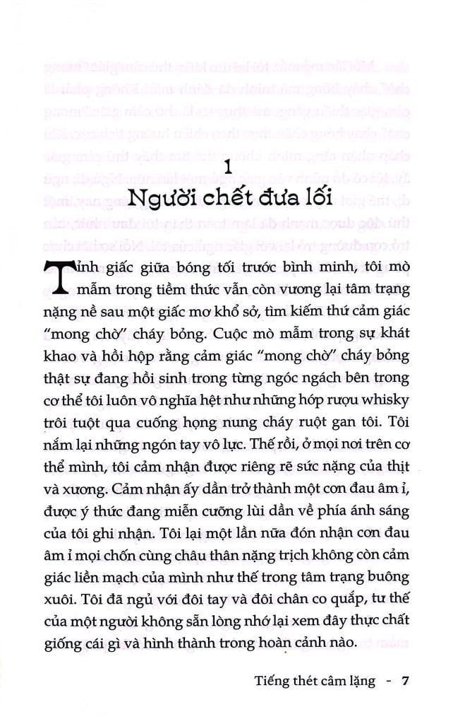 Tiếng Thét Câm Lặng