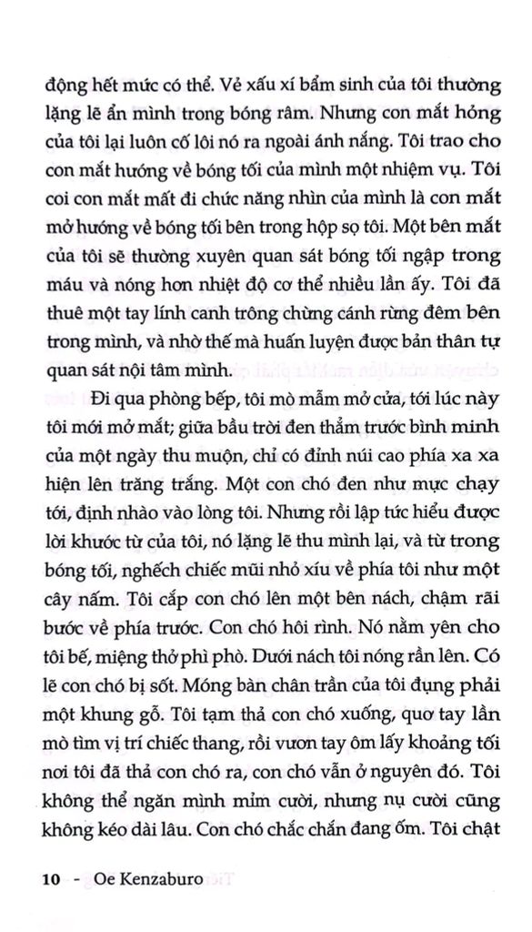 Tiếng Thét Câm Lặng