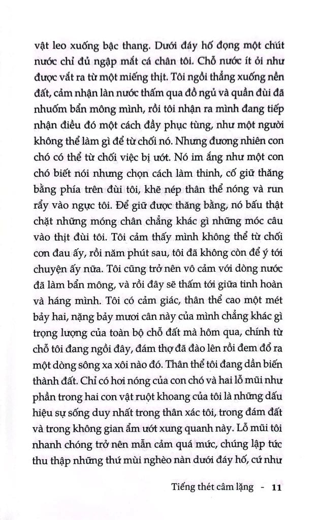Tiếng Thét Câm Lặng
