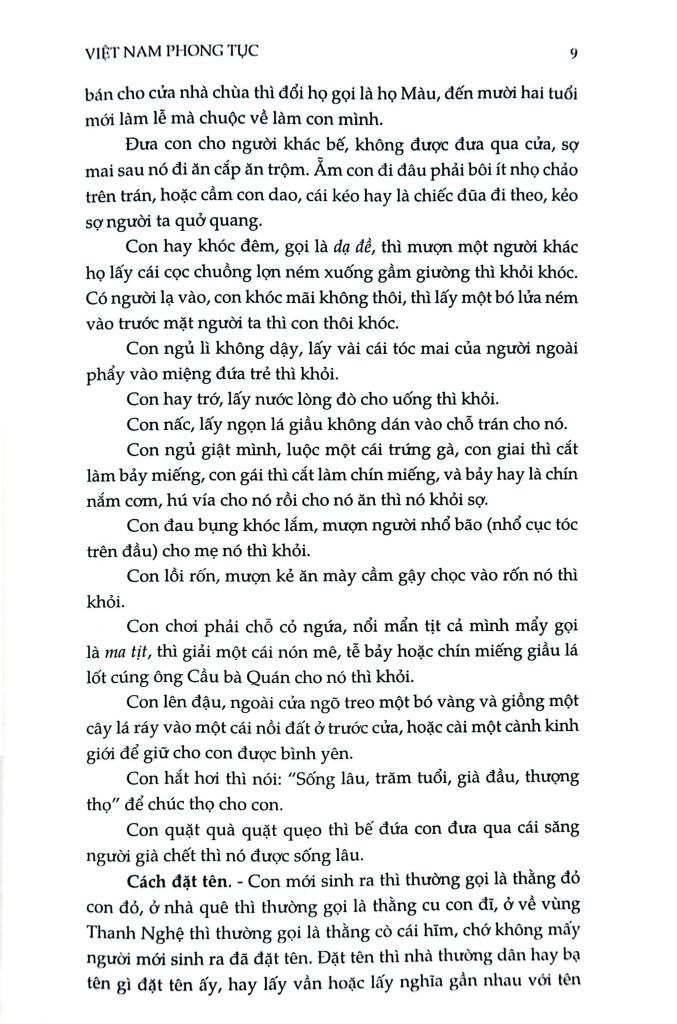 Việt Nam Phong Tục