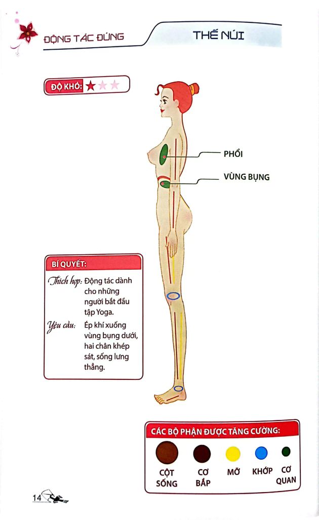 52 Thế Yoga  Hiệu Quả Và Dễ Tập