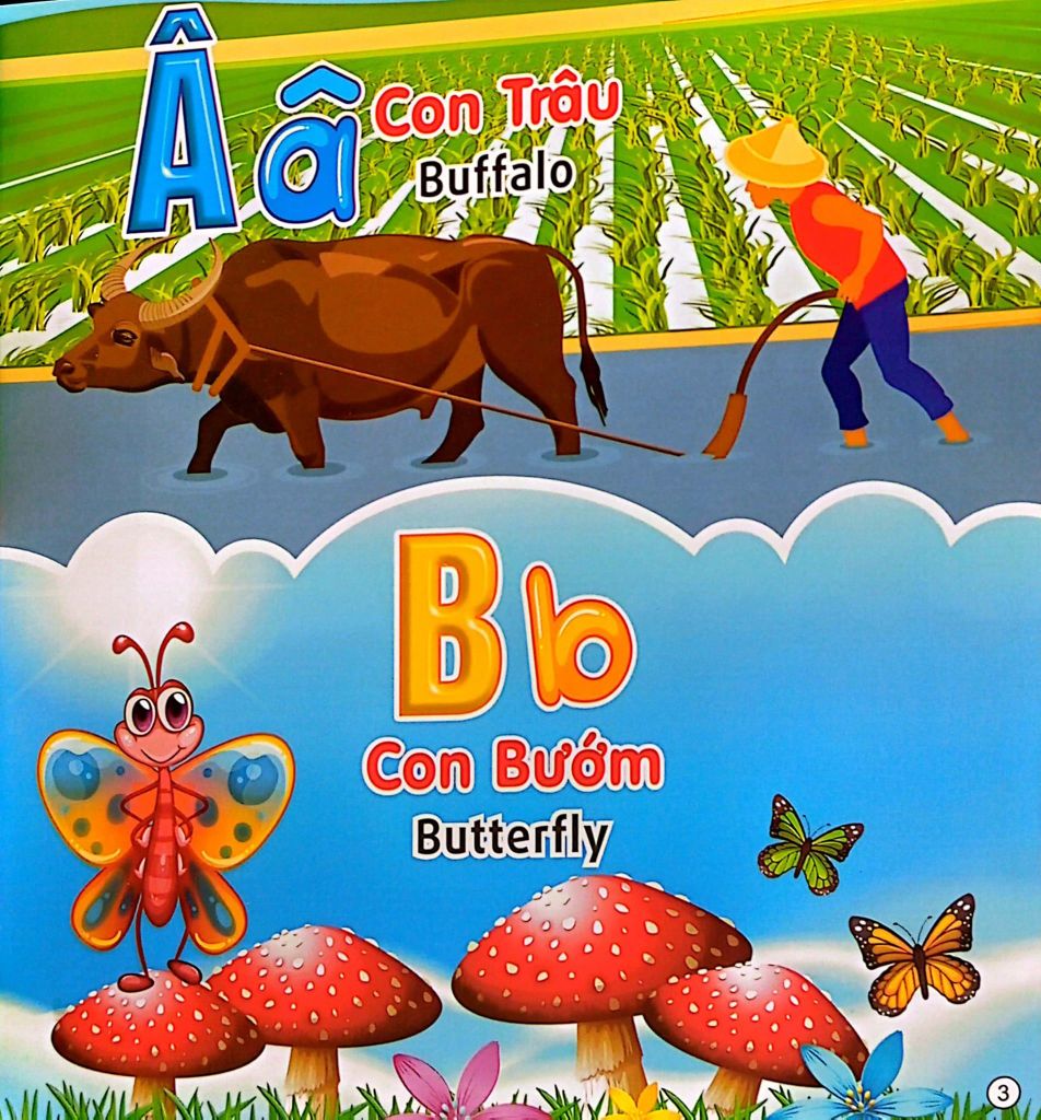 CHỮ CÁI-SỰ TỰ NHẬN BIẾT-TỦ SÁCH HỌC TIẾNG ANH BẰNG HÌNH (SN)