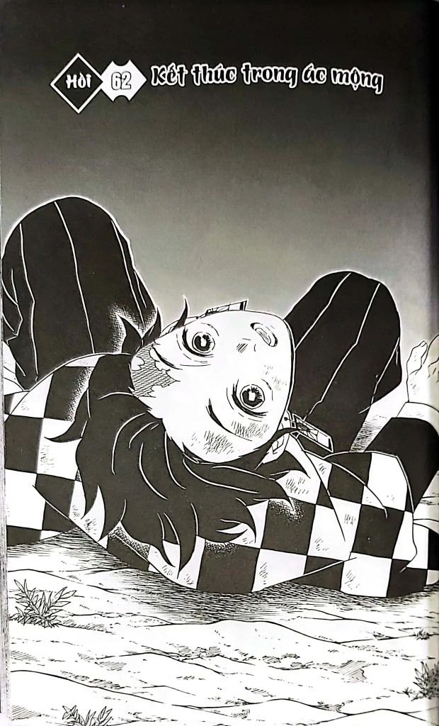 THANH GƯƠM DIỆT QUỶ T8