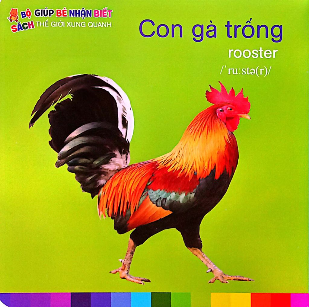 ĐỘNG VẬT NUÔI - BÉ NHẬN BIẾT THẾ GIỚI XUNG QUANH