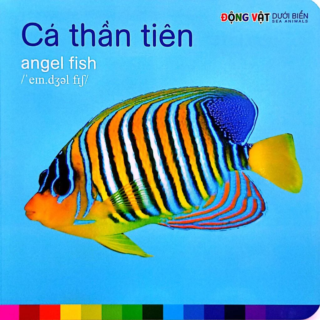 ĐV DƯỚI BIỂN - BÉ NHẬN BIẾT THẾ GIỚI XUNG QUANH