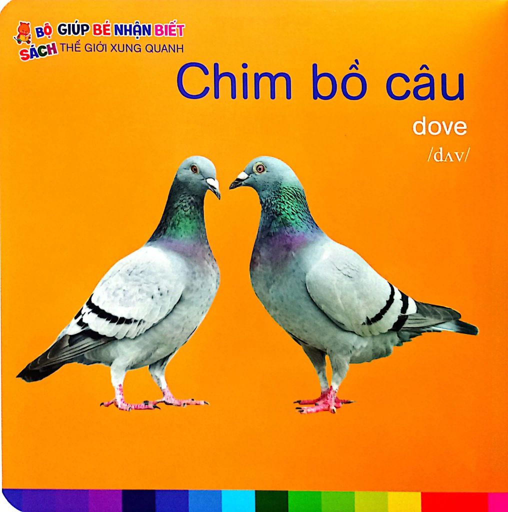 ĐỘNG VẬT NUÔI - BÉ NHẬN BIẾT THẾ GIỚI XUNG QUANH