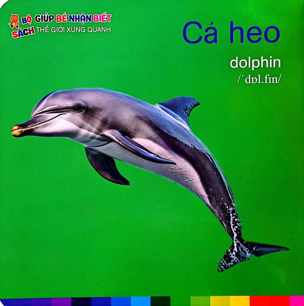 ĐV DƯỚI BIỂN - BÉ NHẬN BIẾT THẾ GIỚI XUNG QUANH