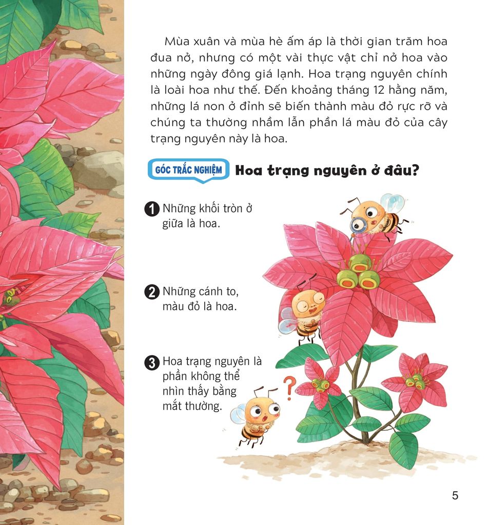 WOW, Thì Ra Là Thế! - Sự Sinh Trưởng Của Thực Vật