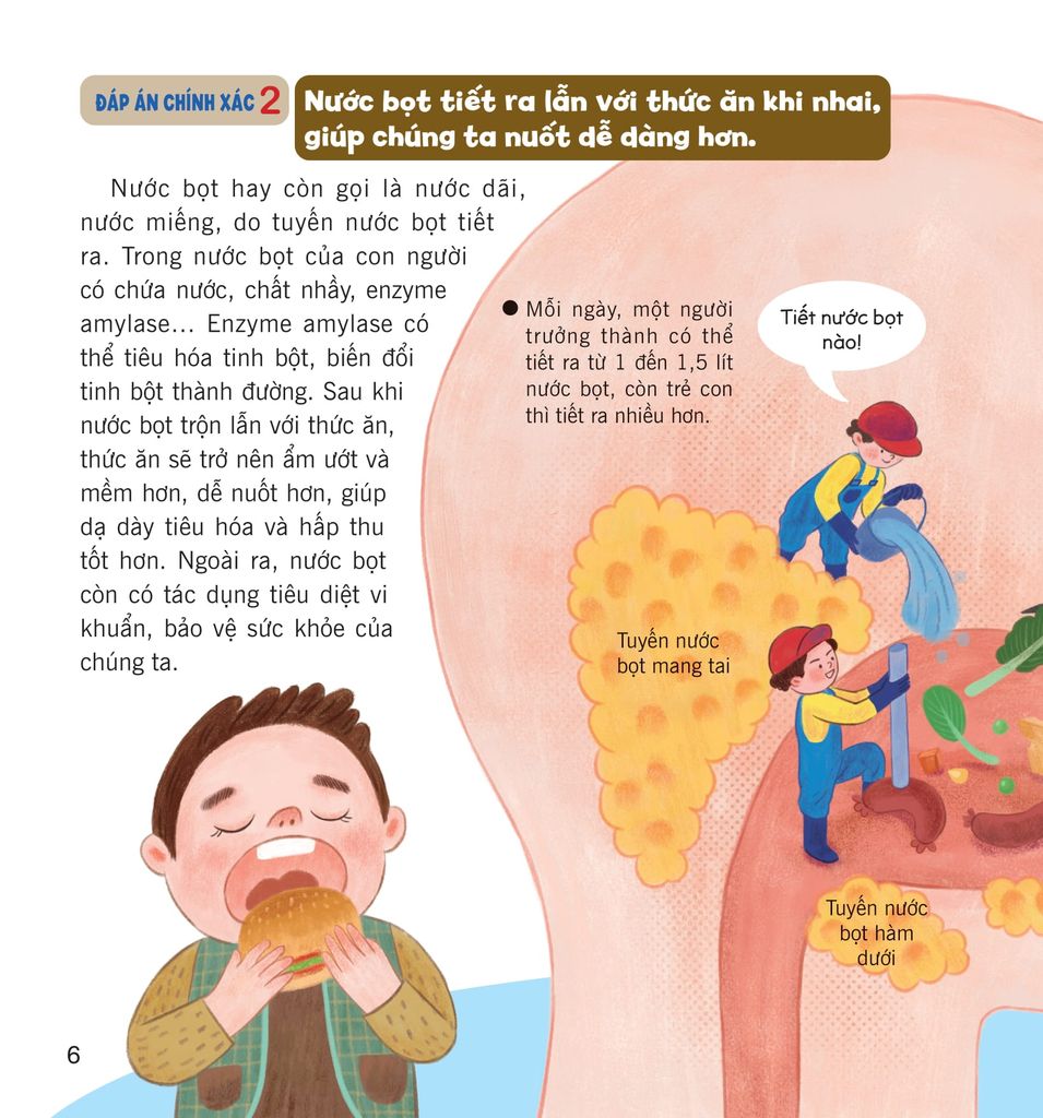 WOW, Thì Ra Là Thế! - Bí Ẩn Cơ Thể Người