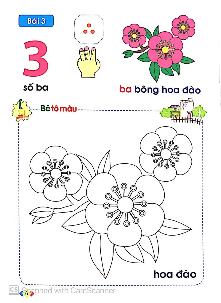 TẬP TÔ VÀ LÀM QUEN VỚI CHỮ SỐ DÀNH CHO TRẺ 5-6 TUỔI