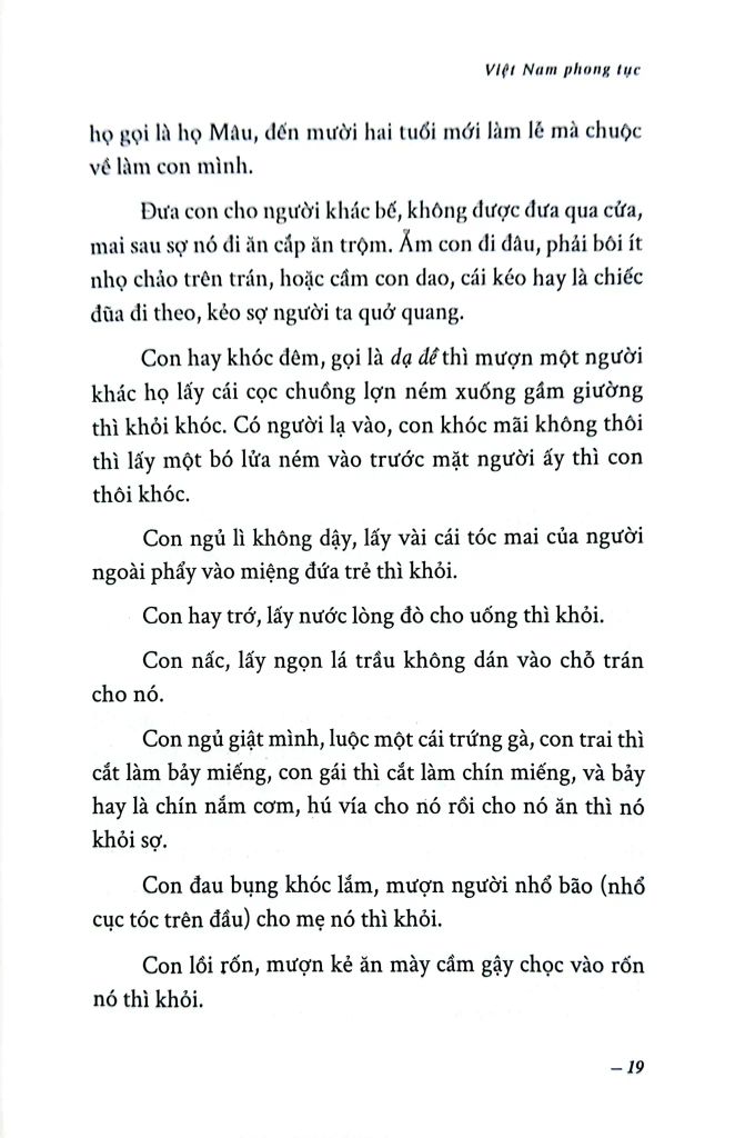 Việt Nam Phong Tục