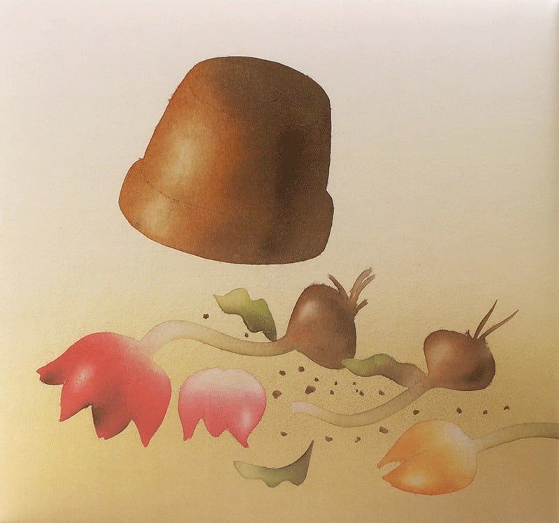 Hachiko Chú Chó Dấu Yêu