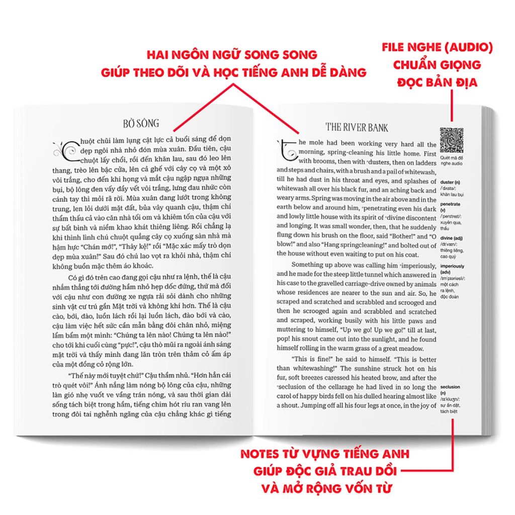 GIÓ ĐÙA TRONG LIỄU (SN)