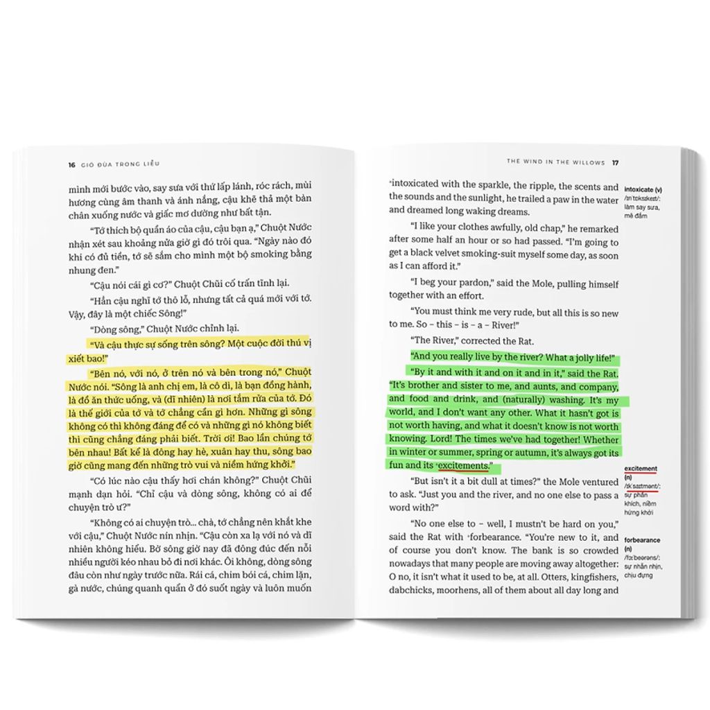 GIÓ ĐÙA TRONG LIỄU (SN)