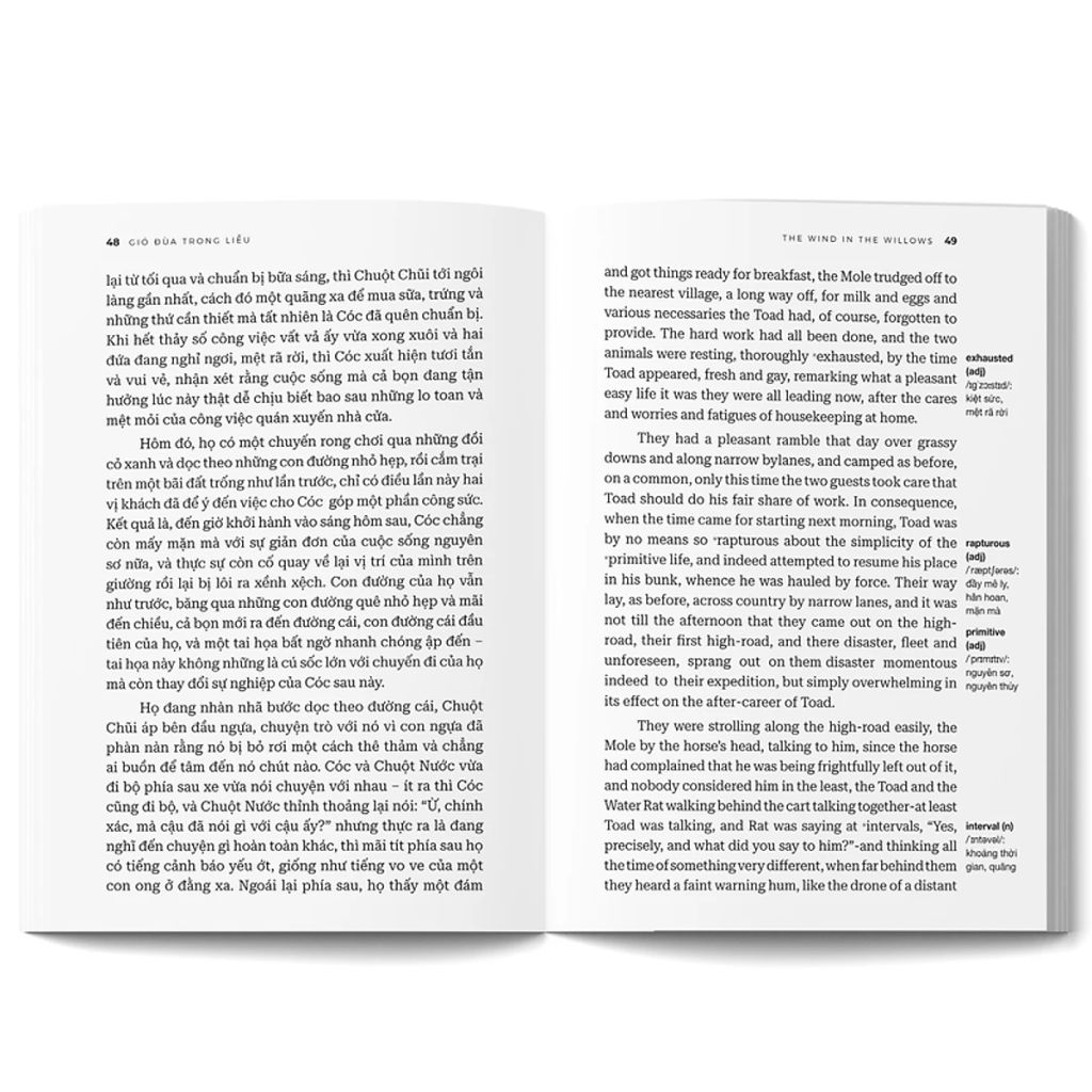 GIÓ ĐÙA TRONG LIỄU (SN)