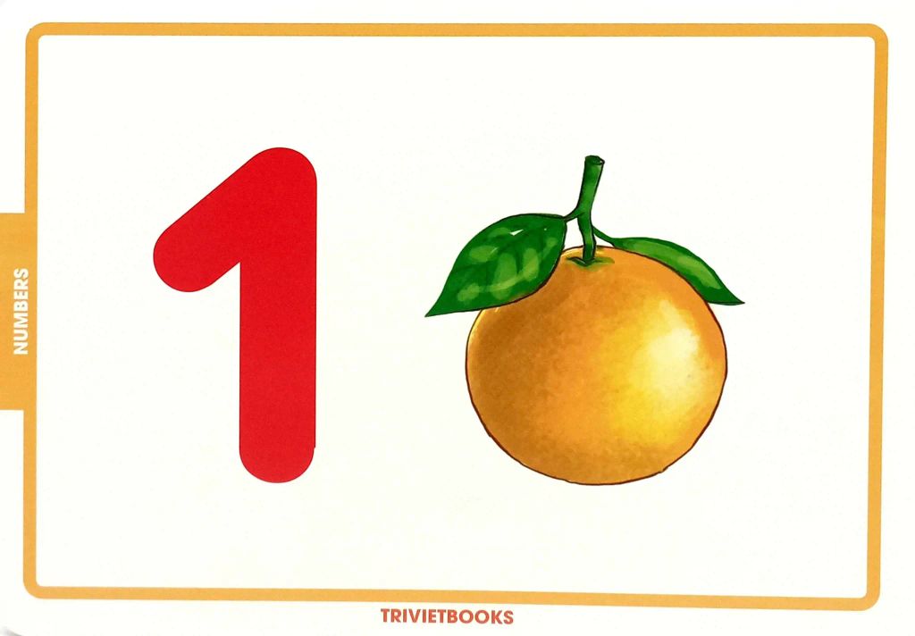 FLASHCARD SỐ ĐẾM - NUMBERS