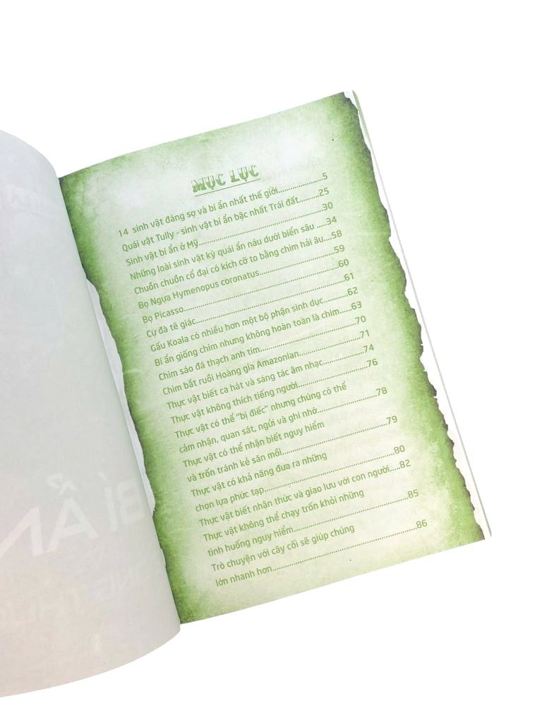 MÃI MÃI LÀ BÍ ẨN-NGƯỜI NGOÀI HÀNH TINH CỔ ĐẠI