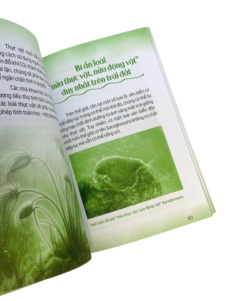 MÃI MÃI LÀ BÍ ẨN-NGƯỜI NGOÀI HÀNH TINH CỔ ĐẠI