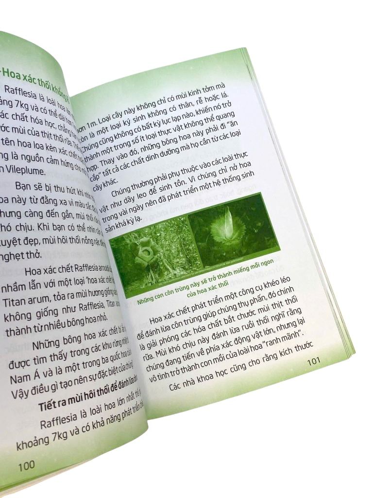 MÃI MÃI LÀ BÍ ẨN-NGƯỜI NGOÀI HÀNH TINH CỔ ĐẠI