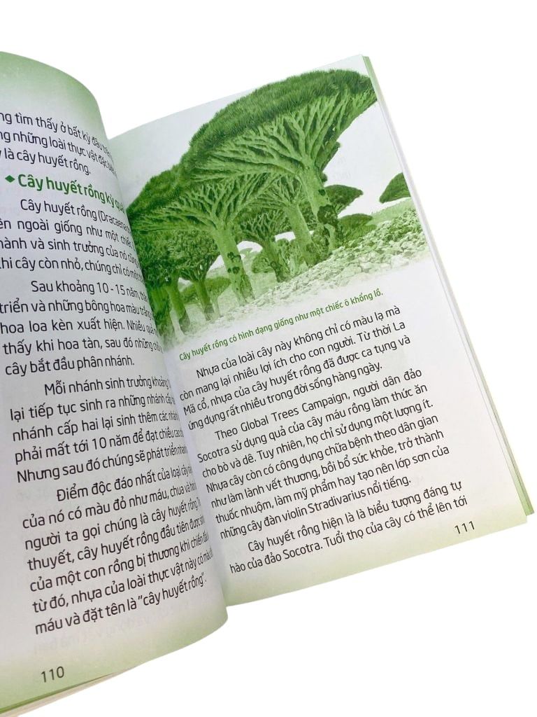 MÃI MÃI LÀ BÍ ẨN-NGƯỜI NGOÀI HÀNH TINH CỔ ĐẠI