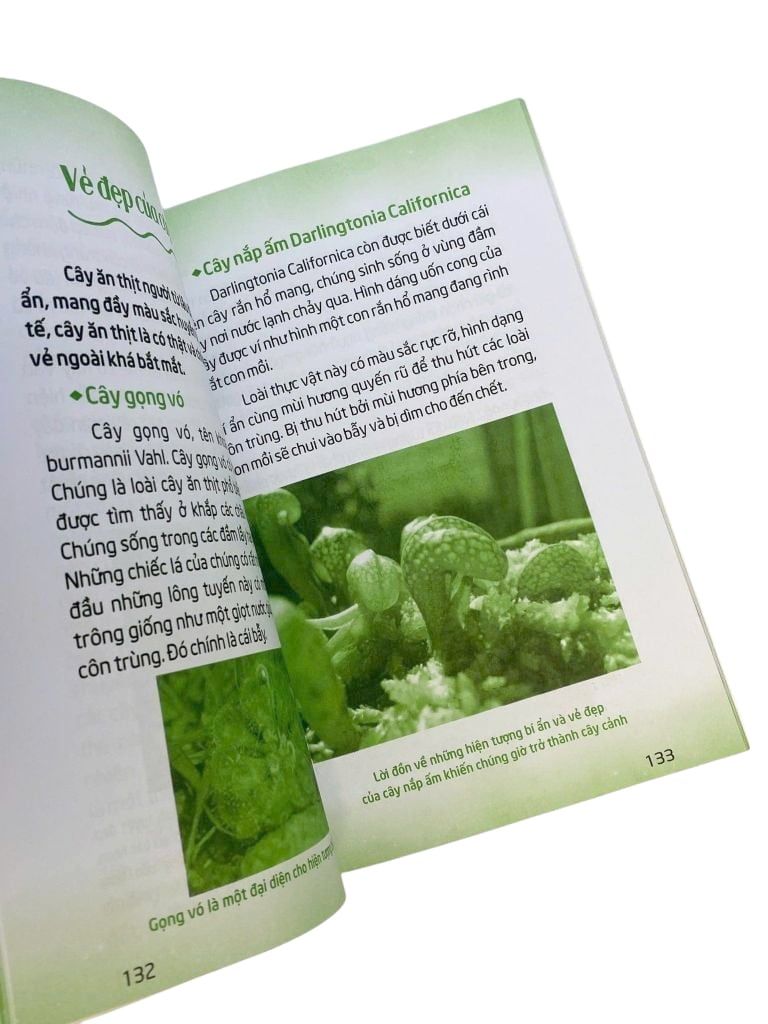 MÃI MÃI LÀ BÍ ẨN-NGƯỜI NGOÀI HÀNH TINH CỔ ĐẠI