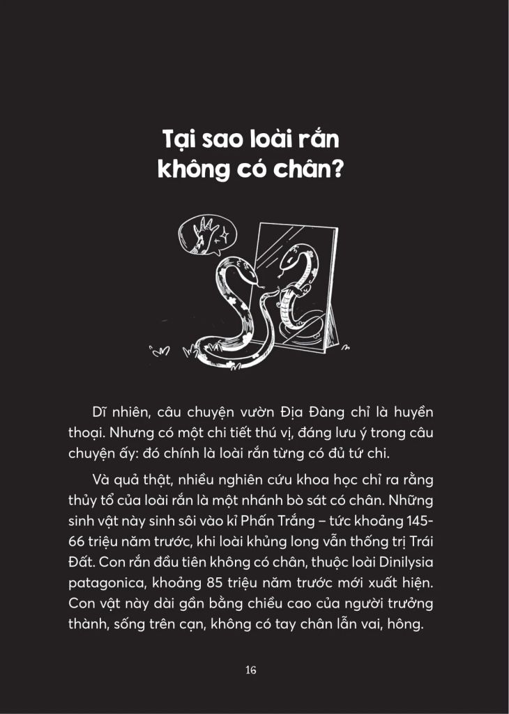 Xà Điển - Muôn Chuyện Về Loài Rắn