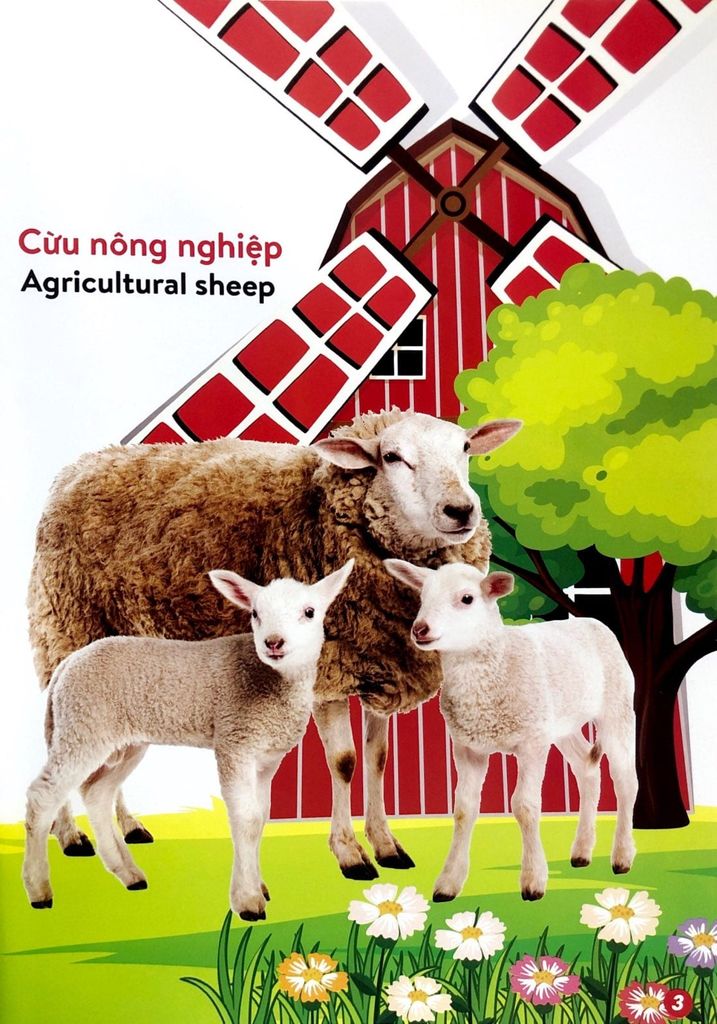 TỪ ĐIỂN BẰNG HÌNH-ĐỘNG VẬT NUÔI VÀ THÚ CƯNG