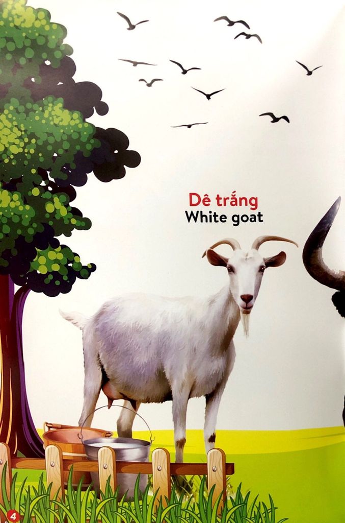 TỪ ĐIỂN BẰNG HÌNH-ĐỘNG VẬT NUÔI VÀ THÚ CƯNG