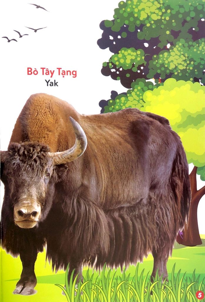 TỪ ĐIỂN BẰNG HÌNH-ĐỘNG VẬT NUÔI VÀ THÚ CƯNG