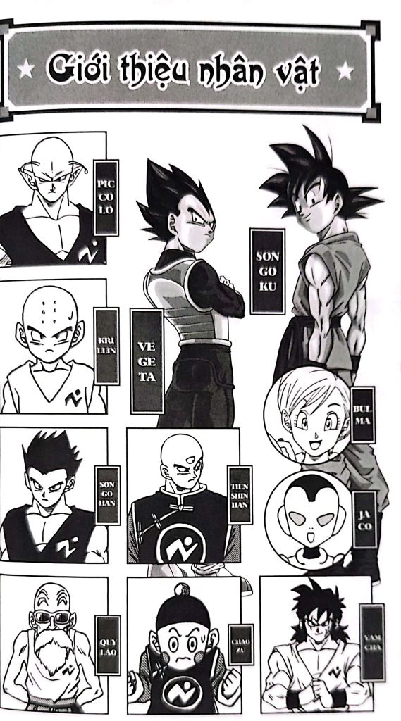 DRAGON BALL SUPER T13
