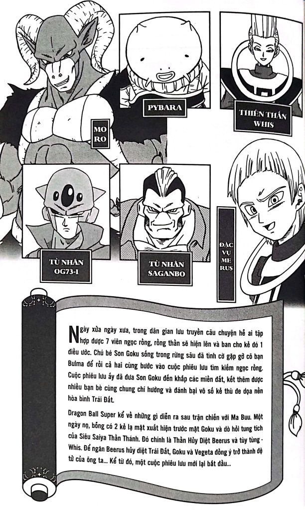 DRAGON BALL SUPER T13