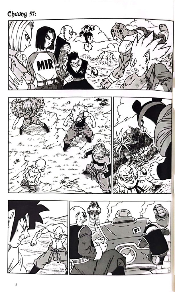 DRAGON BALL SUPER T13