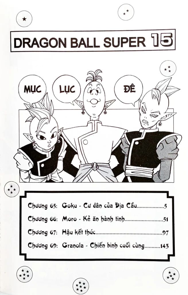 DRAGON BALL SUPER T15