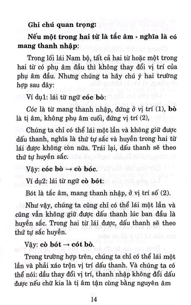 Nghệ Thuật Nói Lái Qua Ngôn Ngữ Dân Gian Nam Bộ