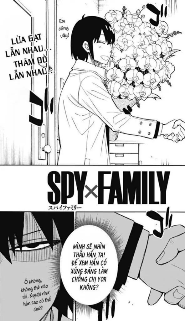 SPY X FAMILY T3