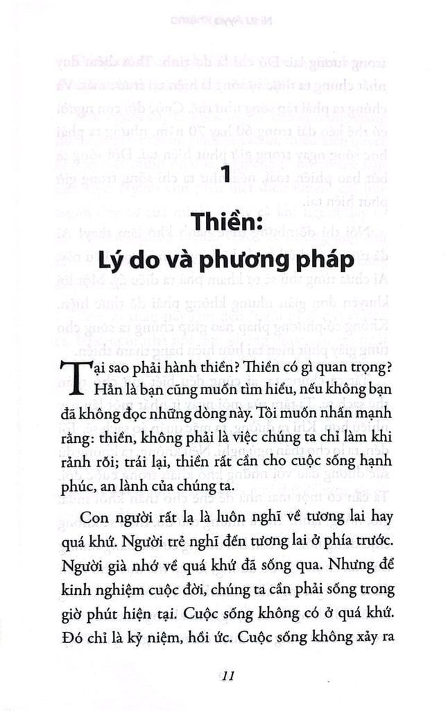 Vô Ngã Vô Ưu - Thiền Quán Về Phật Đạo (Tái bản năm 2024)