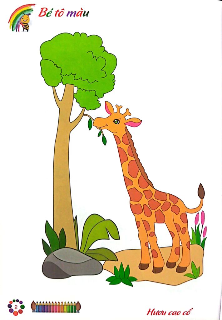 COMBO TÔ MÀU MẪU GIÁO