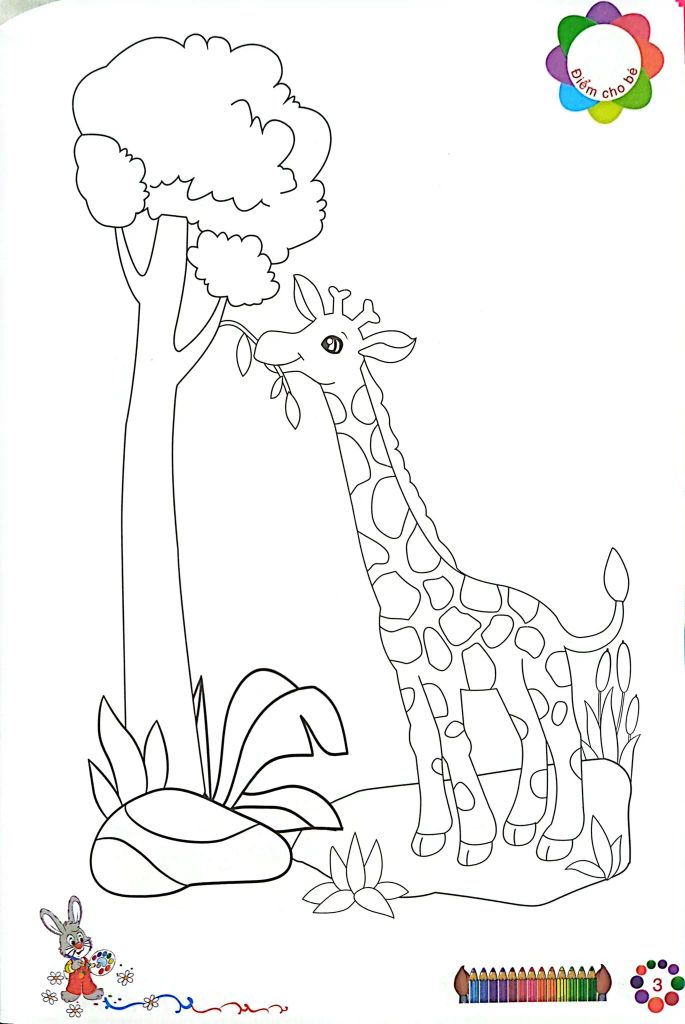 COMBO TÔ MÀU MẪU GIÁO