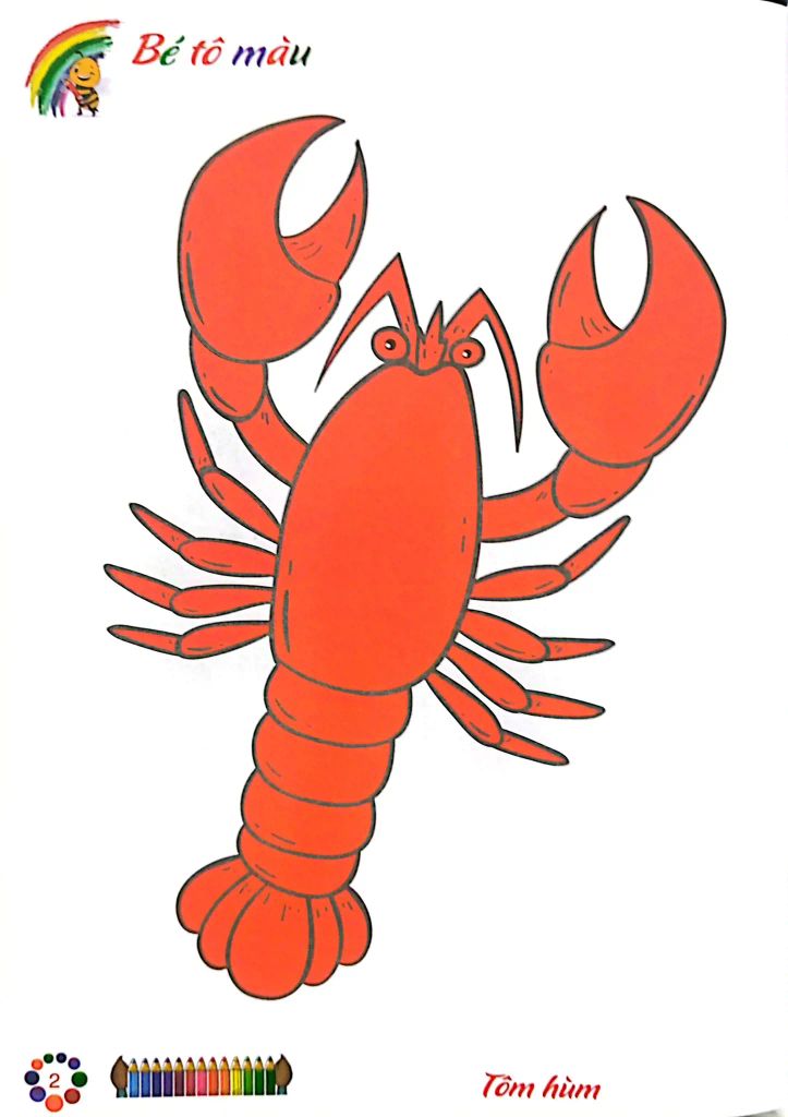 COMBO TÔ MÀU MẪU GIÁO