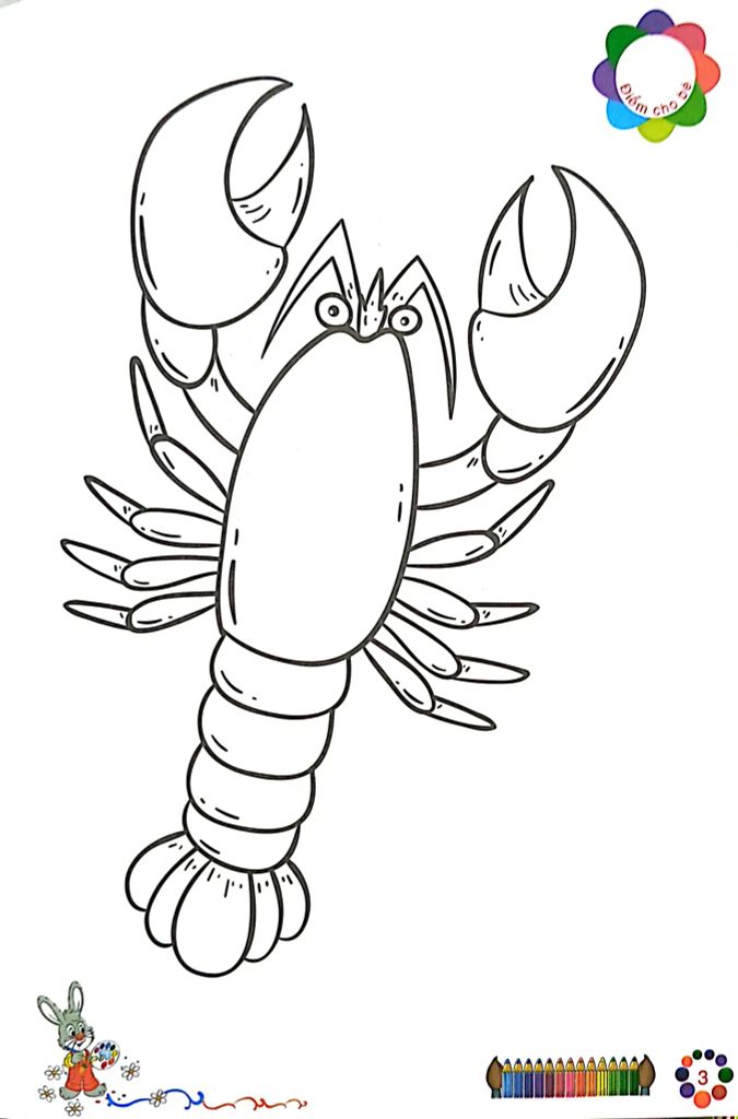 COMBO TÔ MÀU MẪU GIÁO