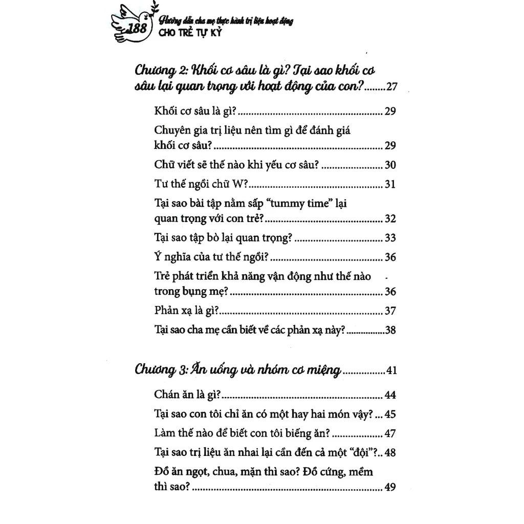 Hướng Dẫn Cha Mẹ Thực Hành Trị Liệu Hoạt Động Cho Trẻ Tự Kỷ