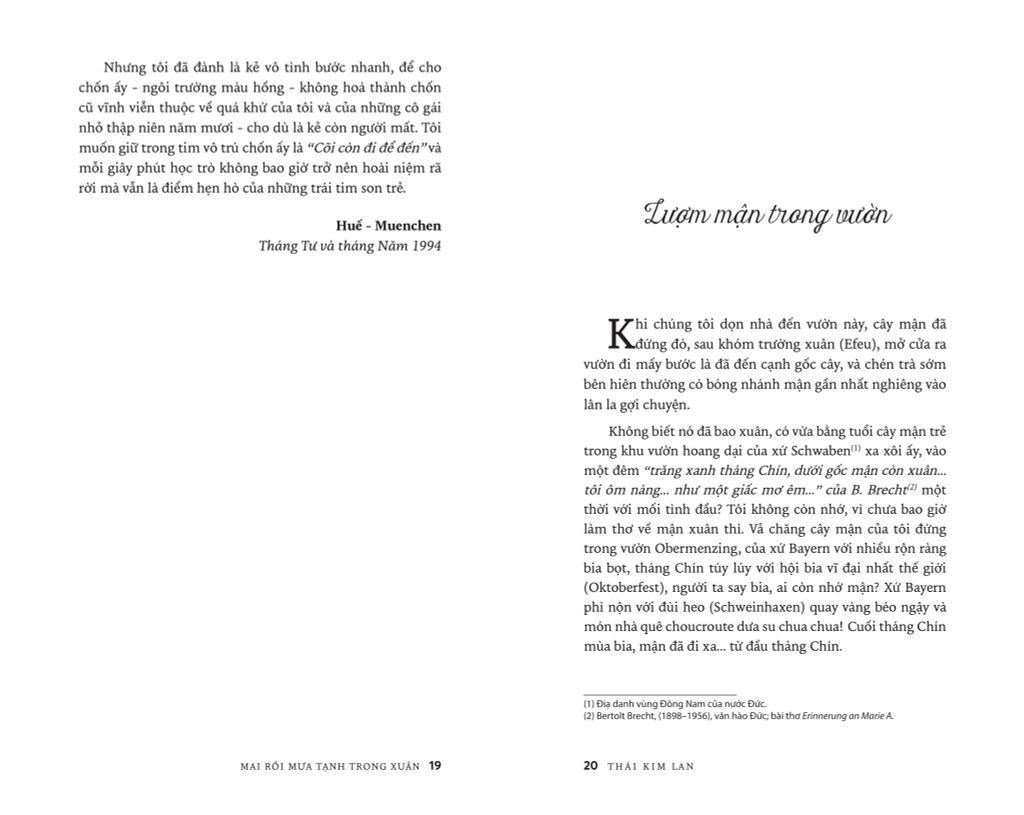 Mai Rồi Mưa Tạnh Trong Xuân