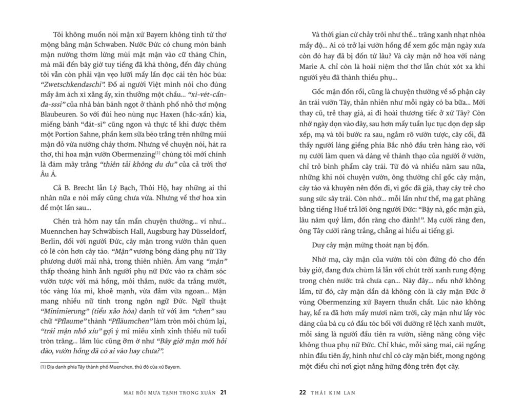 Mai Rồi Mưa Tạnh Trong Xuân